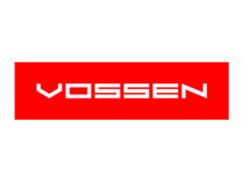 Vossen